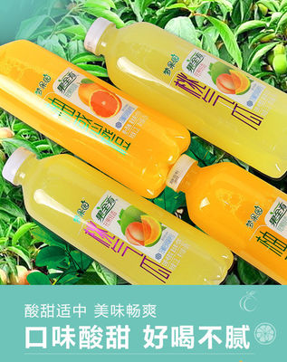 探索網紅果汁風潮 橙汁、西柚、白桃、哈密瓜混合果飲的批發新機遇
